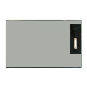 10.1英寸 Rg101b40-235-0101 32灯 LCD 1200X1920 350nit 40pin Mipi接口