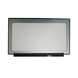 15.6英寸 Rg156X40-262-0201 IPS LCD 1920*1080 220nits 30pin Edp 接口