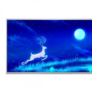 23.8英寸 Rg238X72-194-0601 IPS LCD 1920*1080 1000nits 30pin Lvds接口