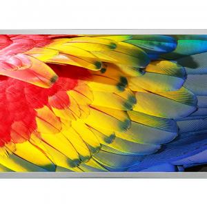 31.5英寸 Rg315o80-195-0501 IPS LCD 1920*1080 1000nits 51pin Lvds接口